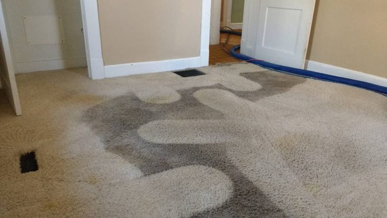 carpet_dirty