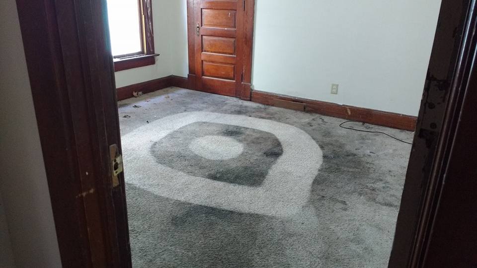 Carpet Stain Removal 101 A Comprehensive Guide for Tackling Stubborn